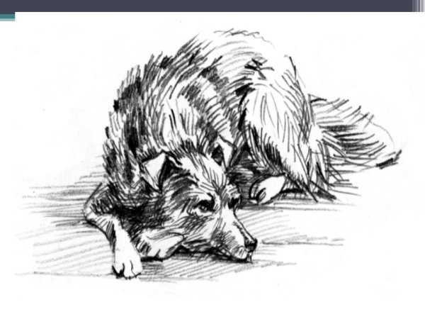 Куприн Барбос и Жулька иллюстрации