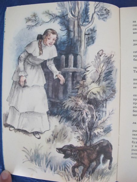 Кусака книга