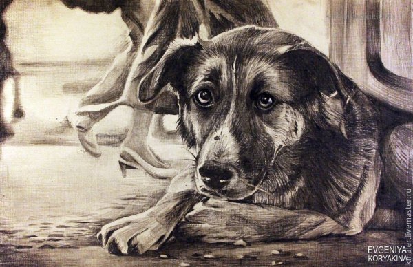 Дворняжки в живописи
