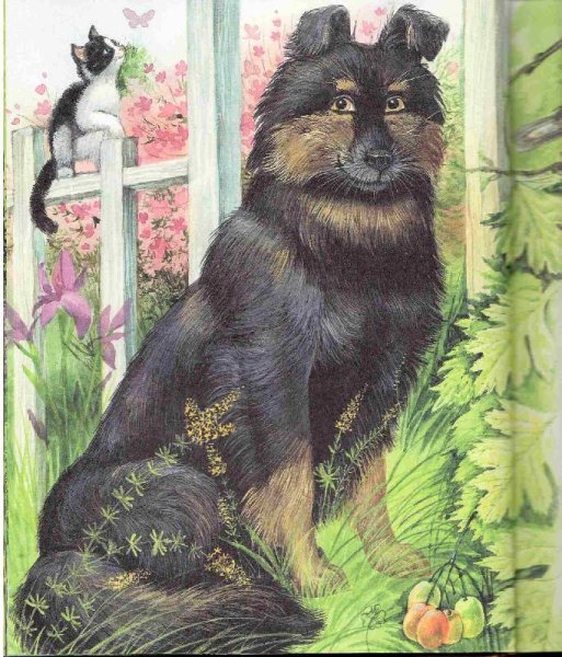 Иллюстрации из кусаки