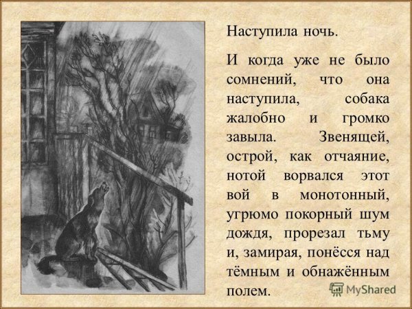 Л Н Андреев кусака