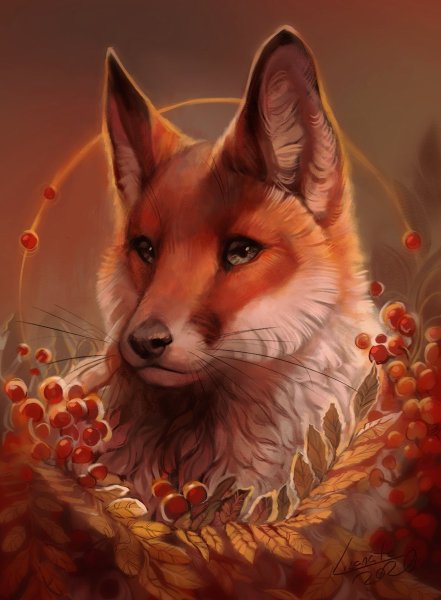 Красивая лиса