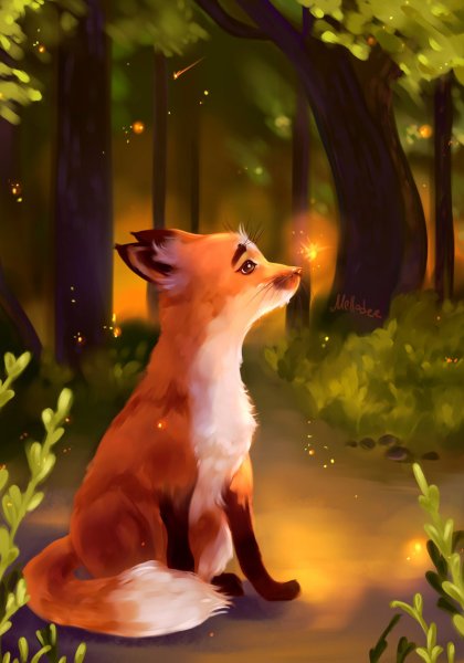 Волшебные лисы