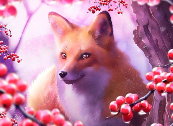 Красивые лисы