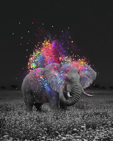 Волшебный слон