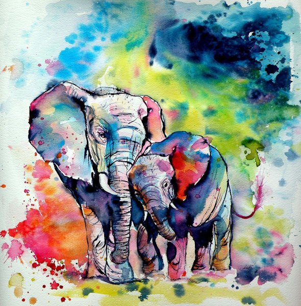Слоны акварелью
