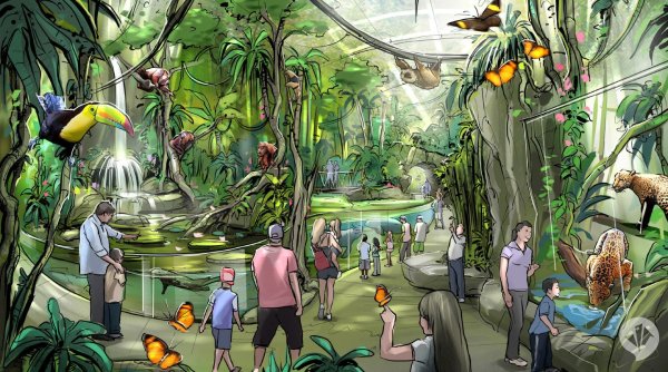 Зоопарк арты