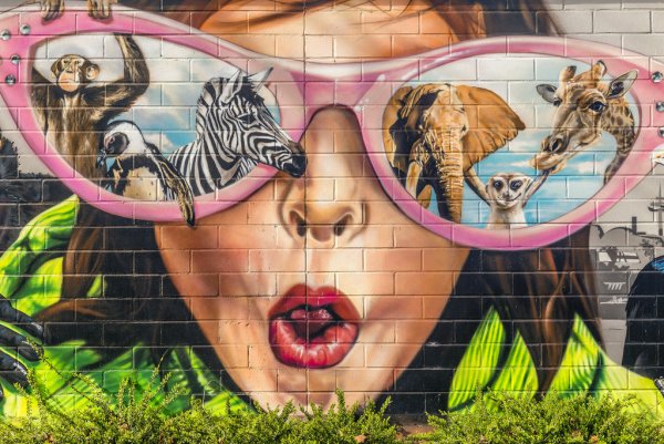 Искусство зоопарка