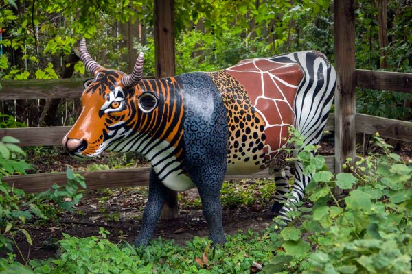 Креативный зоопарк