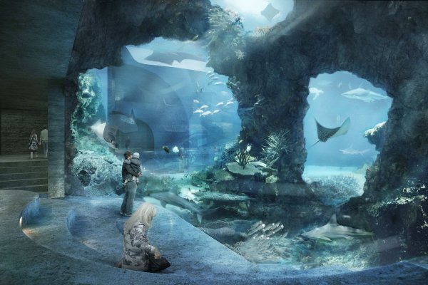 Зоопарк арт фэнтези