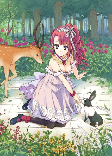 Аниме зоопарк девочки