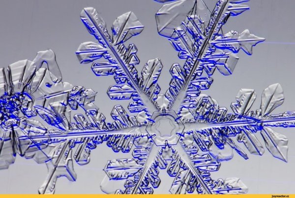 Красивые снежинки арт