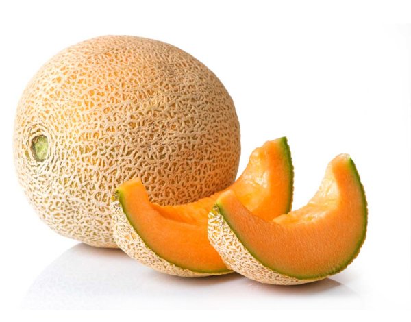 Дыня f1 канталупа