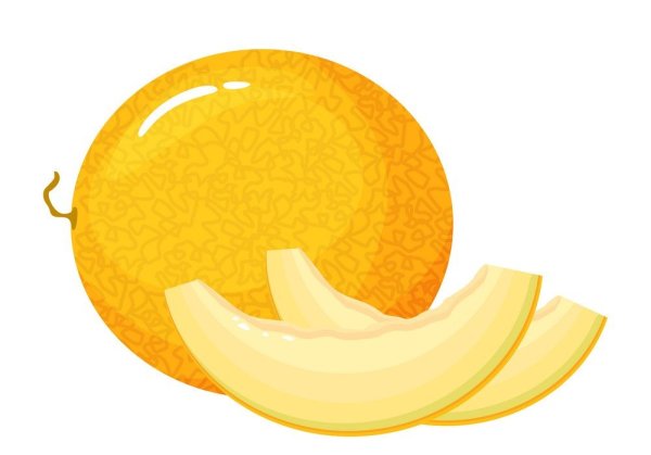 Дыня вектор