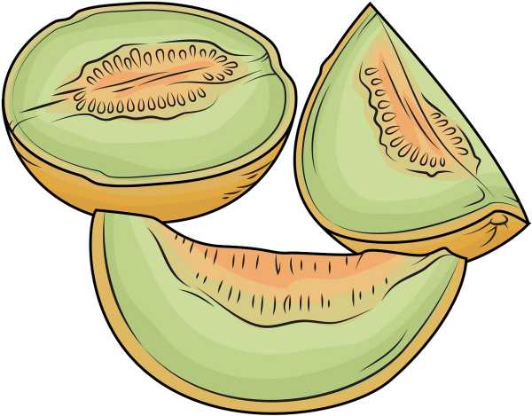 Нарисовать дыню