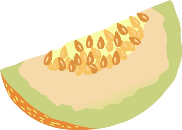 Долька дыни вектор