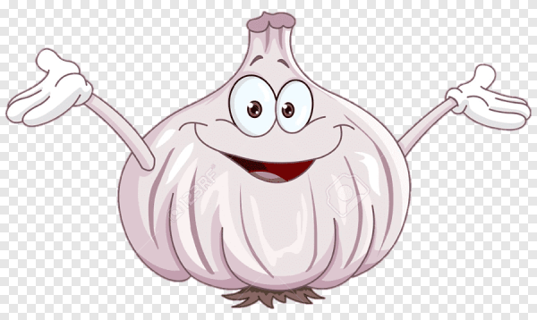 Веселый чеснок