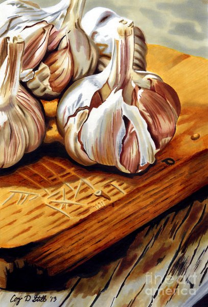 Чеснок цветными карандашами