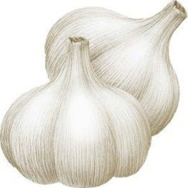 Чеснок для детей