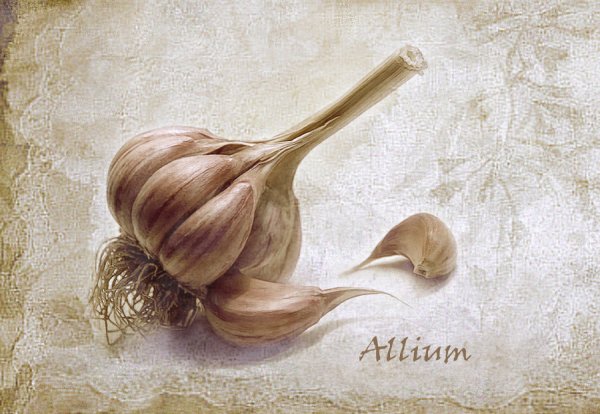 Декупаж чеснок