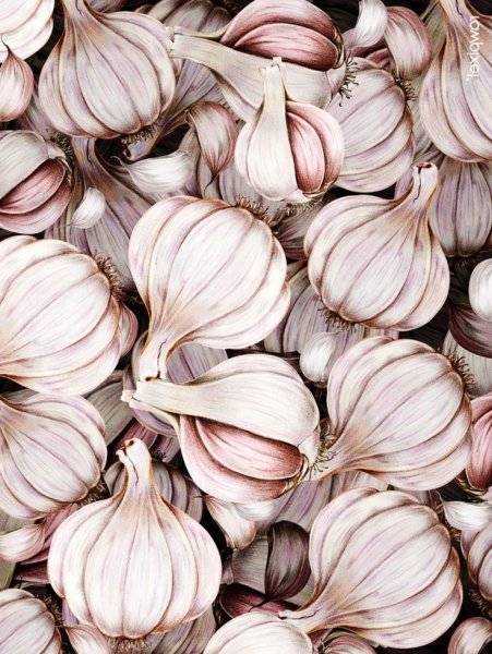 Чеснок арт