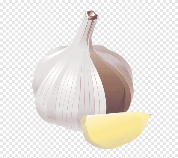 Чеснок без фона