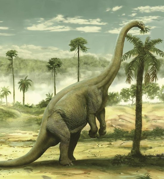 Апатозавр Бронтозавр