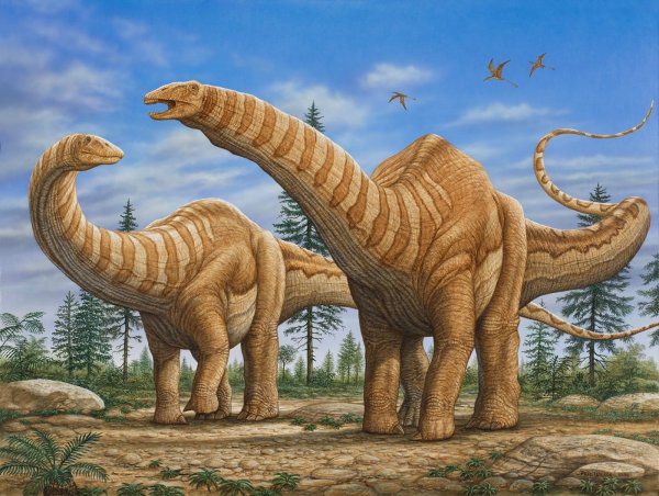 Бронтозавр динозавры Юрского периода