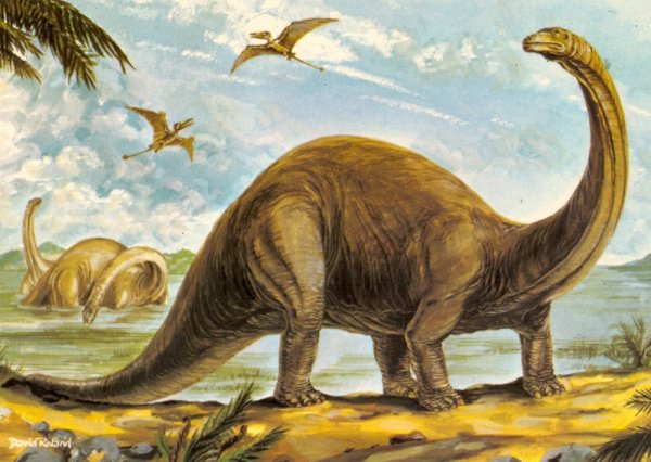 Апатозавр Бронтозавр