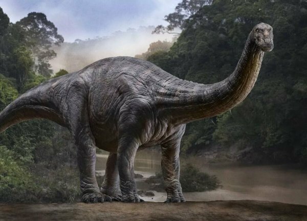 Апатозавр Юрского периода