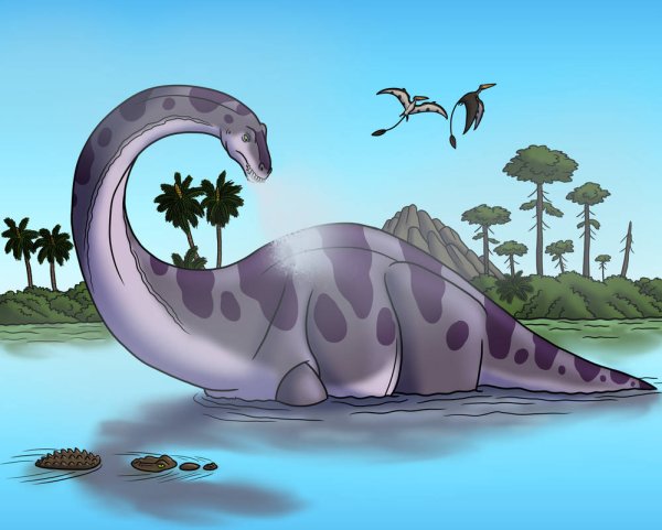 Апатозавр Бронтозавр