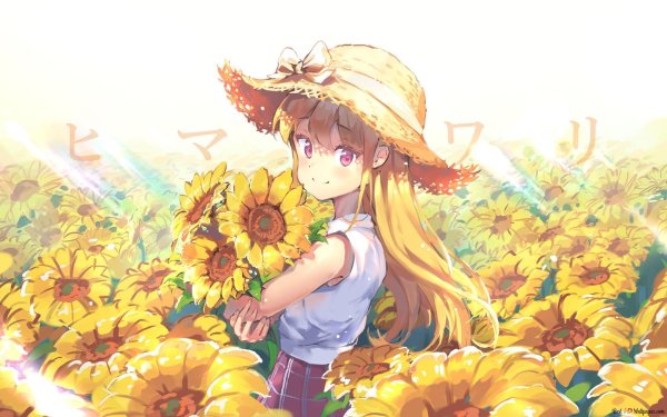 Аниме подсолнух