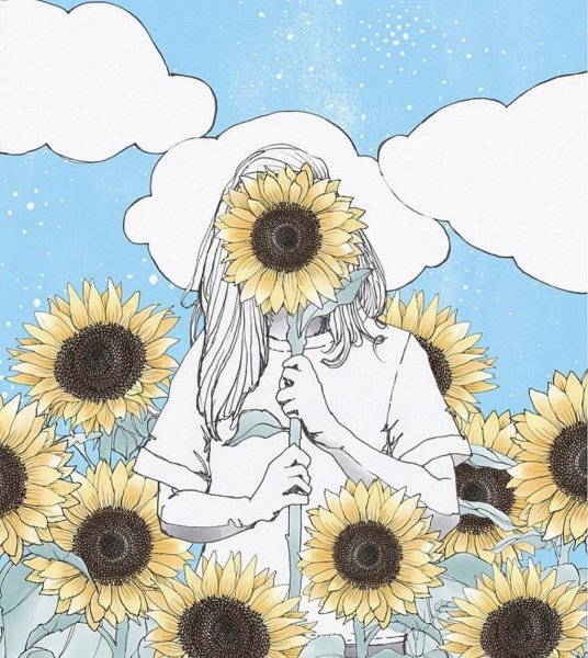 Милый подсолнух