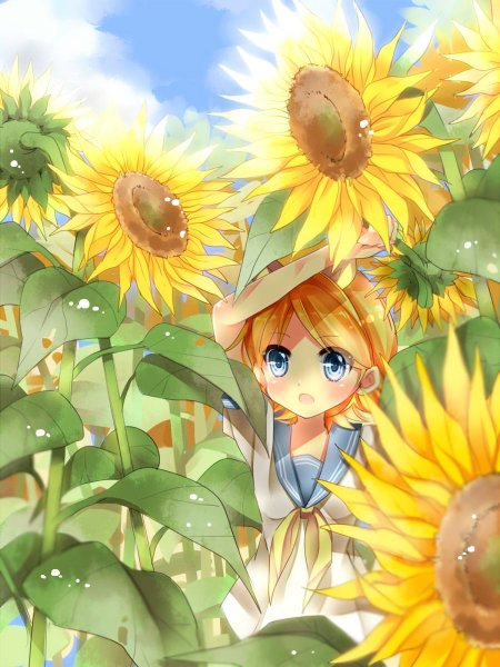 Кагамине Рин Подсолнухи