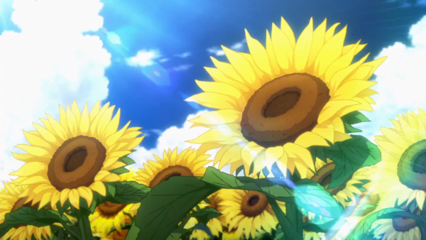 Поле подсолнухов аниме