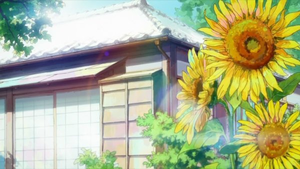 Хаяо Миядзаки Подсолнухи