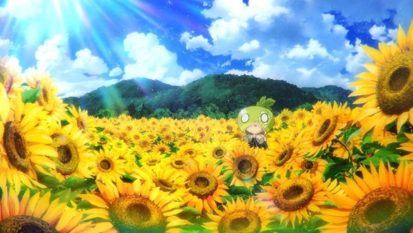 Доктор Стоун Подсолнухи