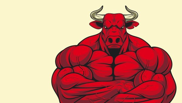 Злой красный бык