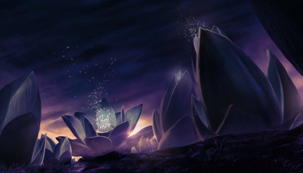 Черный Лотос