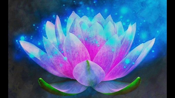 Лотос Белоконь