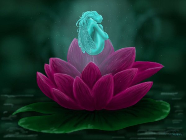 Цветок лотоса арт