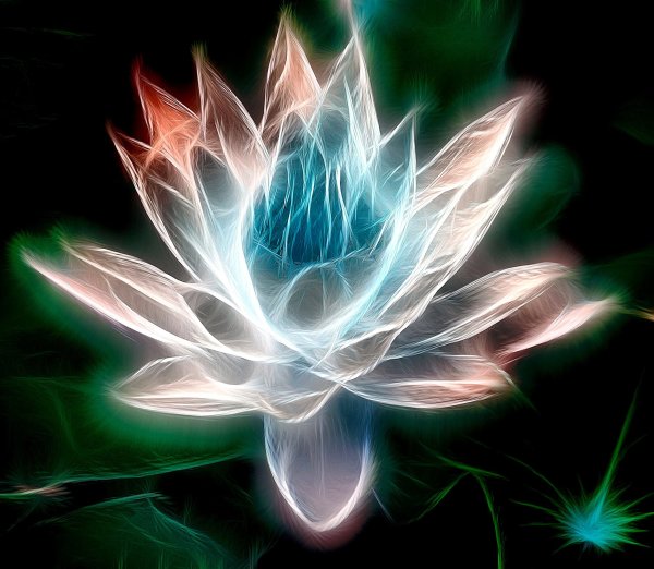 Фрактальный Лотос