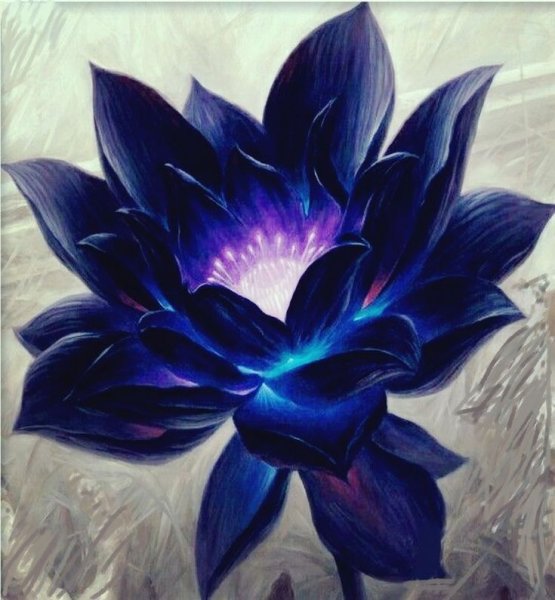 Black Lotus (черный Лотос)