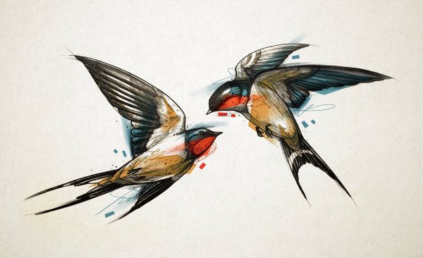 Ласточка референс