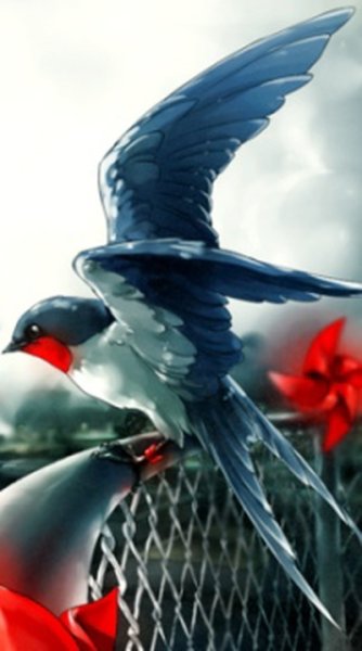 Ласточка аватар