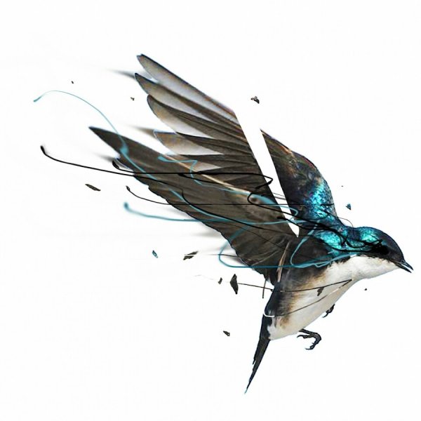 Ласточка арт