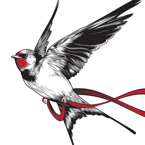 Ласточка на белом фоне