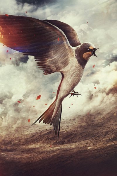 Ласточка фэнтези