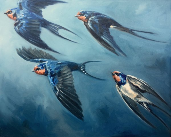 Чарльз Войси ласточки