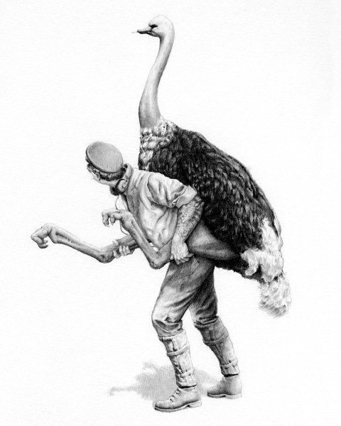 Страус арт рисунок